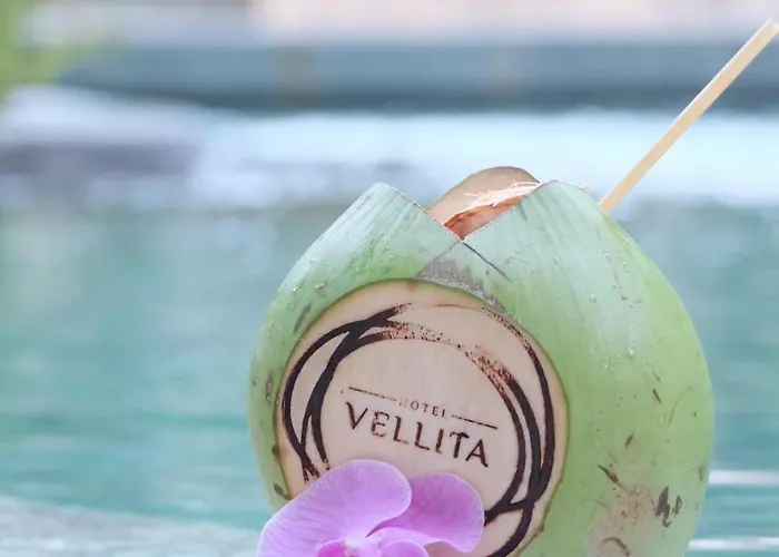 Hotel Vellita 5*